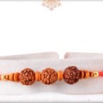 Simple Rudreaksh Rakhi with Beads