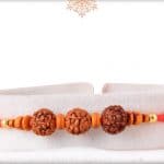 Simple Rudreaksh Rakhi with Beads 3