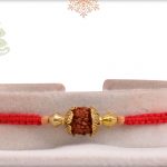 Elegant Single Rudraksh Rakhi - Babla Rakhi