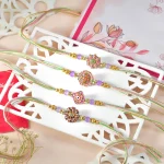 RK402-SILGF-DRYFRUITS-KK-a