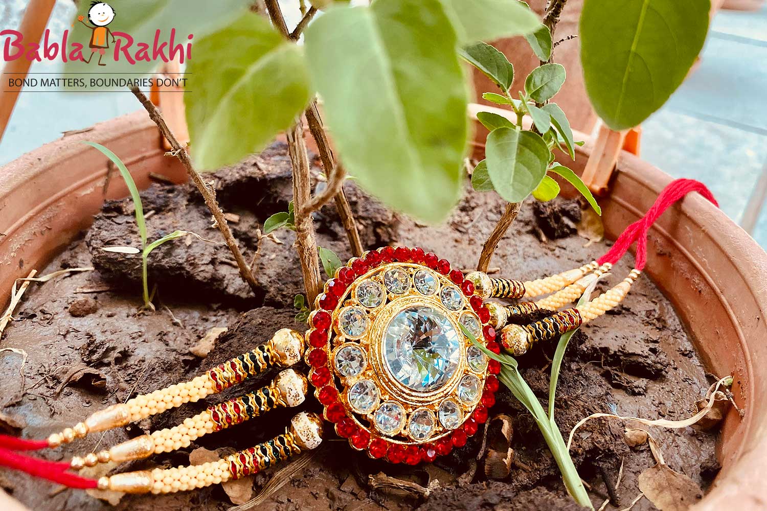 Raksha Bandhan Celebration in Punjabi Culture